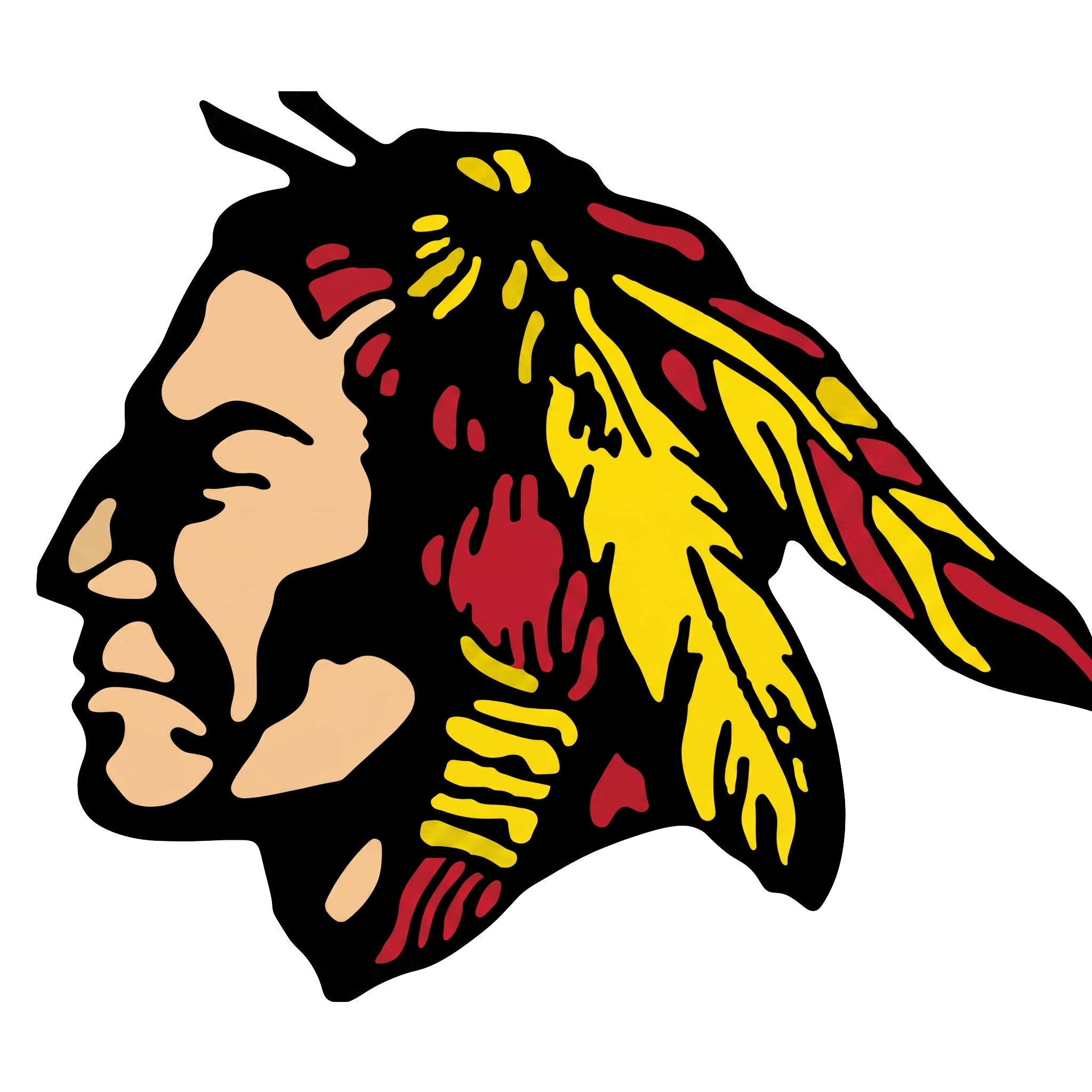 Star Valley Braves