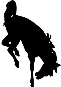 Jackson Broncs