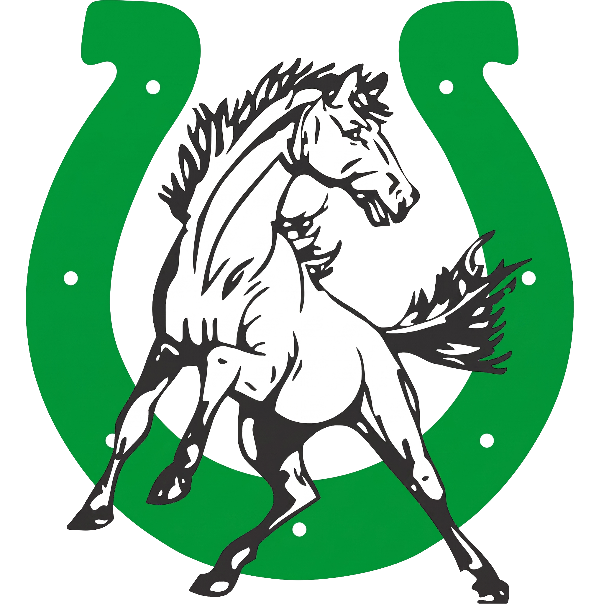 Blackfoot Broncos