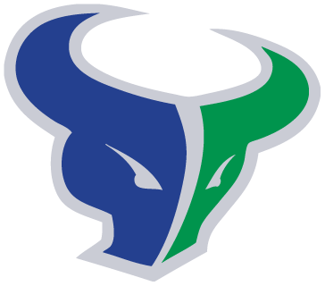 Mountain View Mavericks